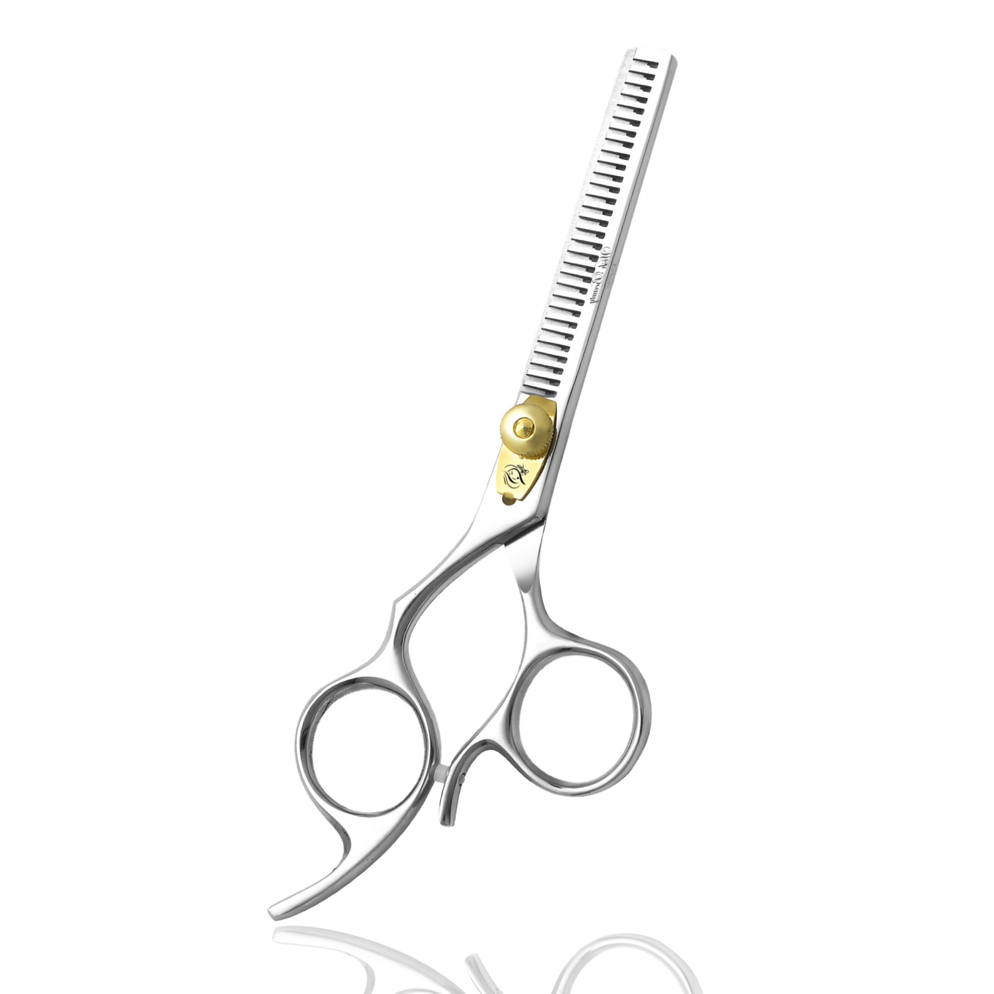 Hair Scissors and Thinning Shears for Professional Hairdressers, 6 Inch Silver Set, Hair Thinning Scissors - Wishbeautyscissors